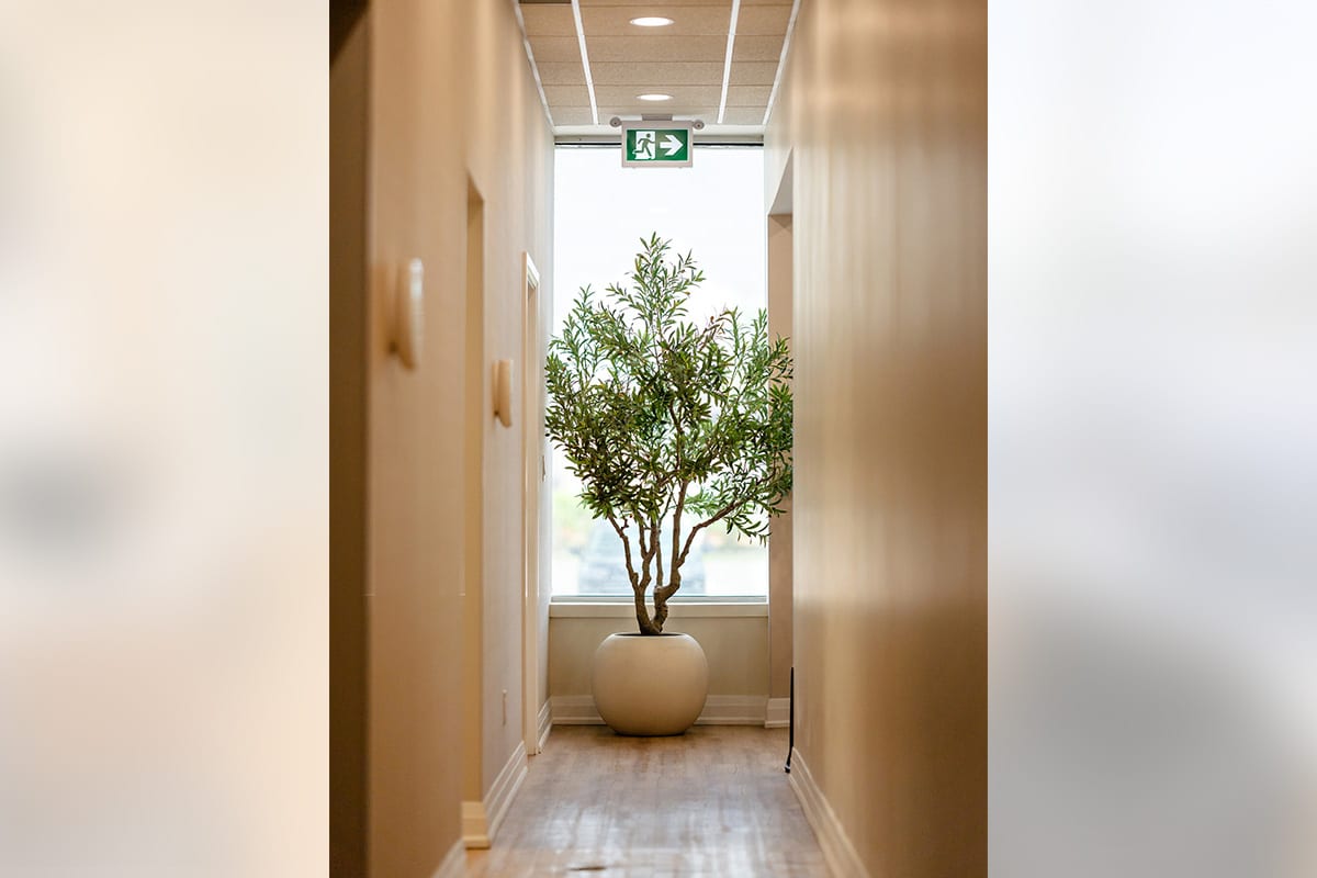 Hallway Tree